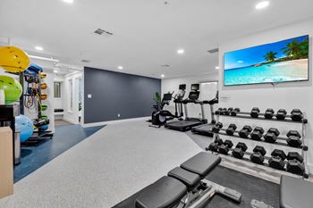 Home gym with row of dumbells